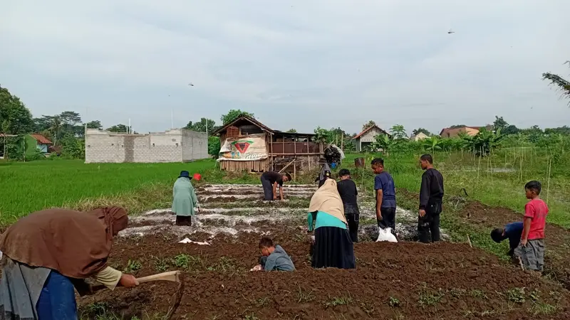 budidaya sekolah alam yogyakarta